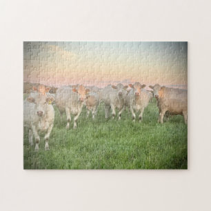 Puzzle Pastel Charolais de bonito en Pastel