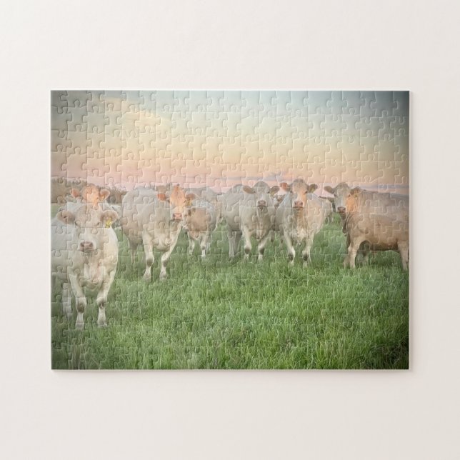 Puzzle Pastel Charolais de bonito en Pastel (Horizontal)