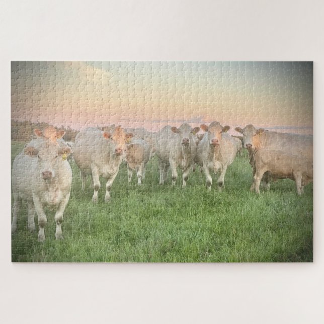 Puzzle Pastel Charolais de bonito en Pastel (Horizontal)