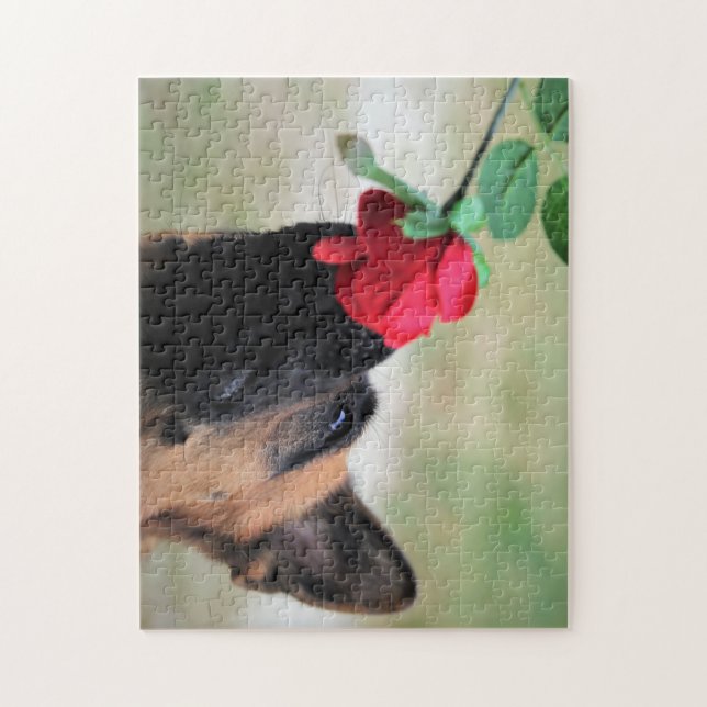Puzzle Pastor alemán con rosa roja (Vertical)