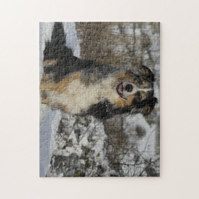 Puzzle Pastor Americano En Nieve (Vertical)