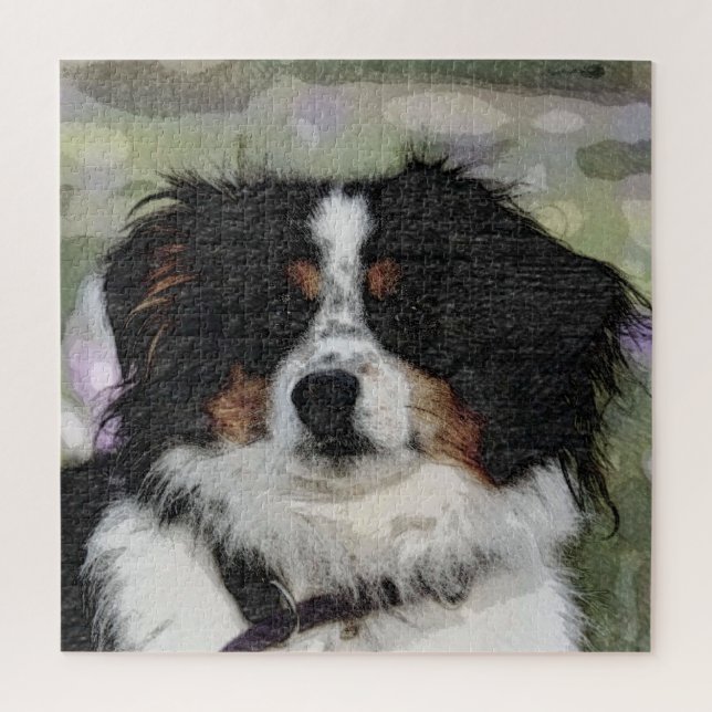 Puzzle Pastor australiano, Mascota, perro (Vertical)