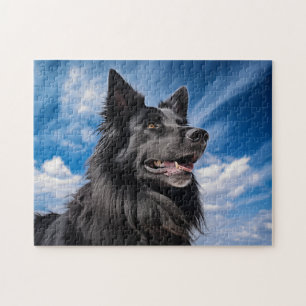 Puzzle Pastor belga Groenendael