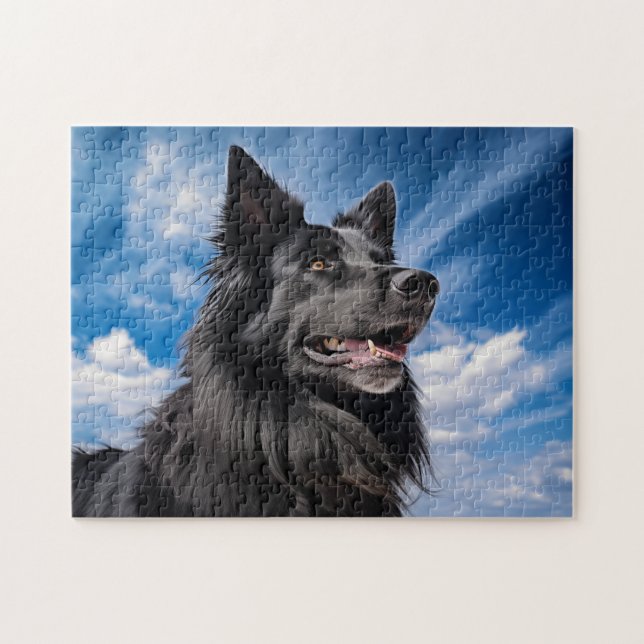Puzzle Pastor belga Groenendael (Horizontal)
