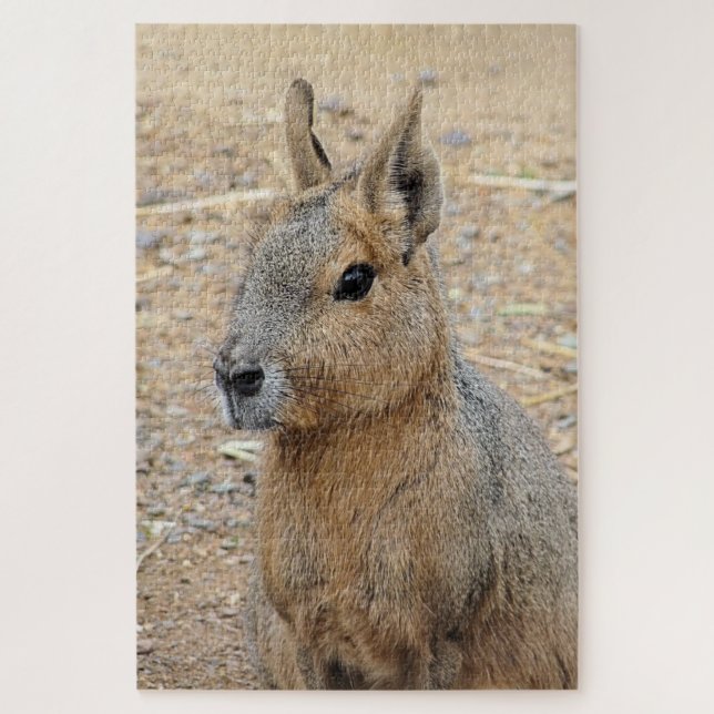 PUZZLE PATAGONIAN MARA (Vertical)