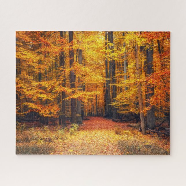 Puzzle Pathway En El Parque Otoño (Horizontal)