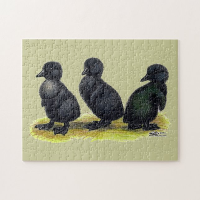 Puzzle Patitos de Cayuga negra (Horizontal)