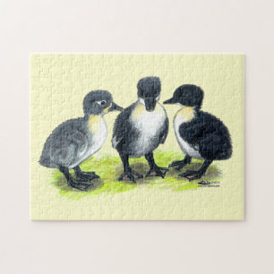 Puzzle Patitos Suecos Azules