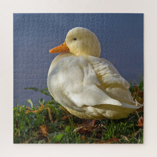 Puzzle Pato blanco pequeño