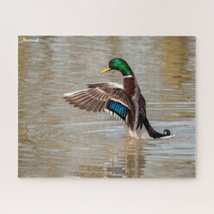 Puzzle Pato de collar