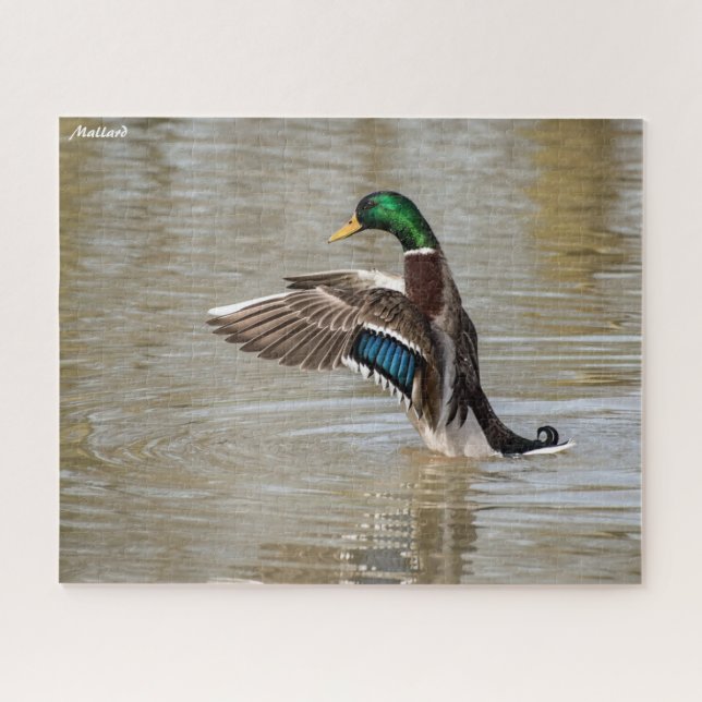 Puzzle Pato de collar (Horizontal)