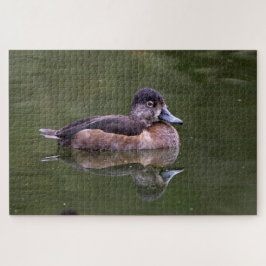 Puzzle Pato de Cuello Anillo