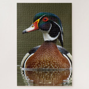 Puzzle Pato de madera en el agua
