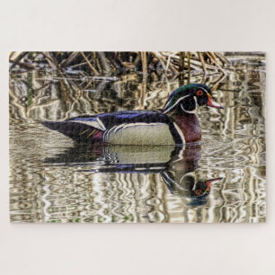 Puzzle Pato de madera macho nadando en estanque