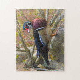 Puzzle Pato de madera macho sobre el árbol