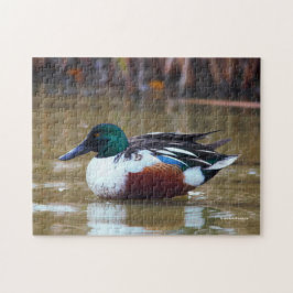 Puzzle Pato del viajero del norte en el estanque