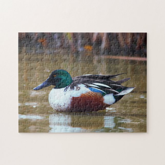 Puzzle Pato del viajero del norte en el estanque (Horizontal)