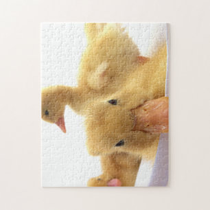 Puzzle pato divertido