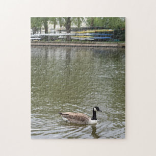 Puzzle Pato en el río Avon Fotografía de la Naturaleza de