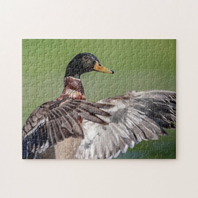 Puzzle Pato en el Valle de Hudson (Horizontal)