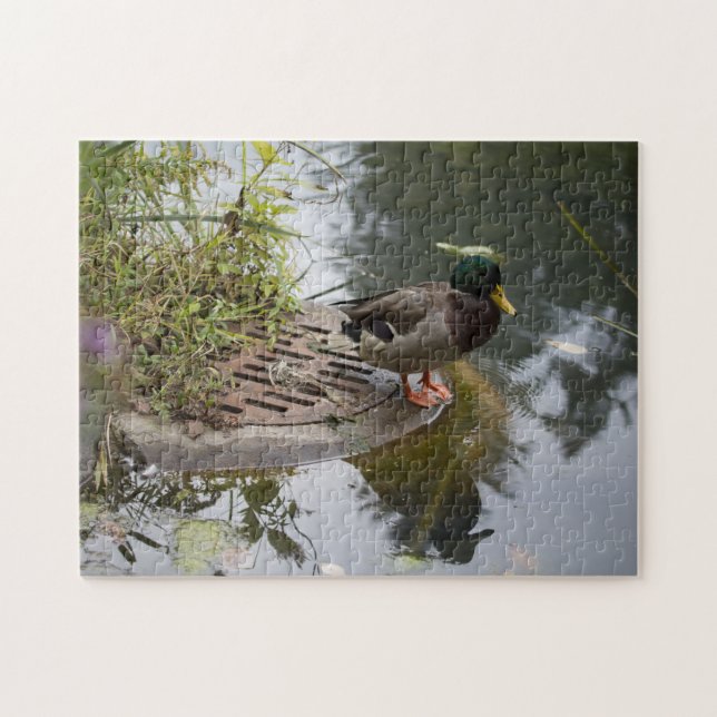 Puzzle Pato en un estanque (Horizontal)