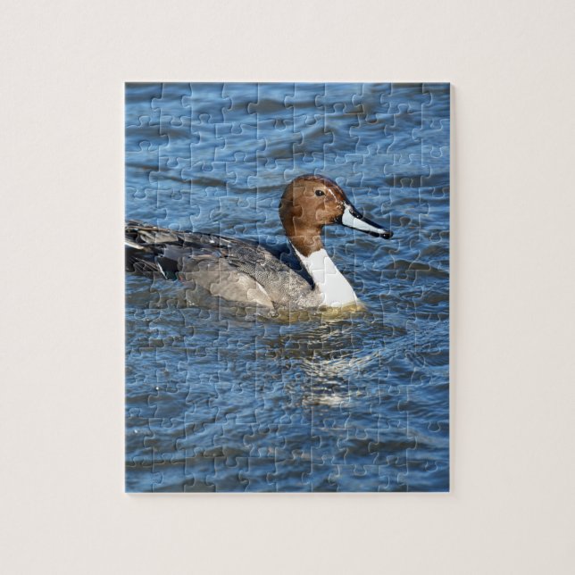 Puzzle Pato Golondrino Norteño (Vertical)