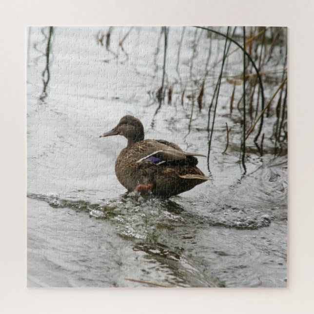 Puzzle Pato gris en la oscuridad del lago (Vertical)