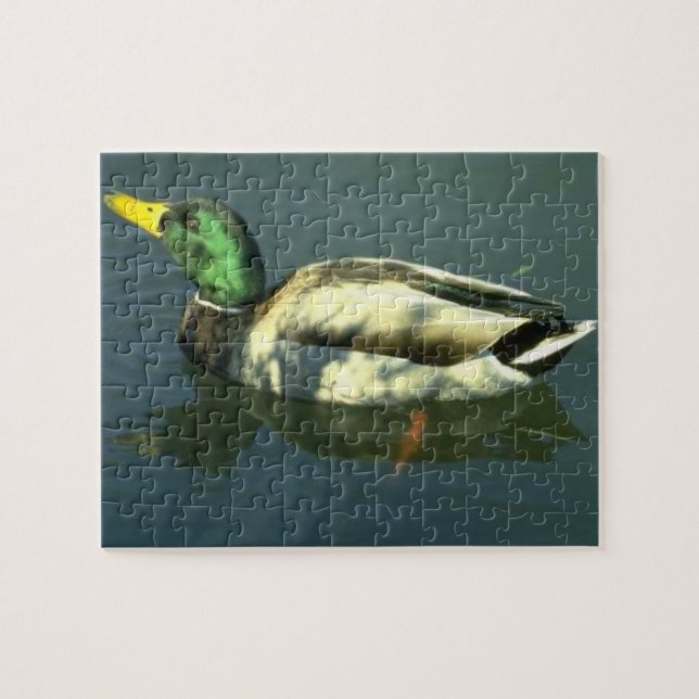 Puzzle Pato mallard (Horizontal)