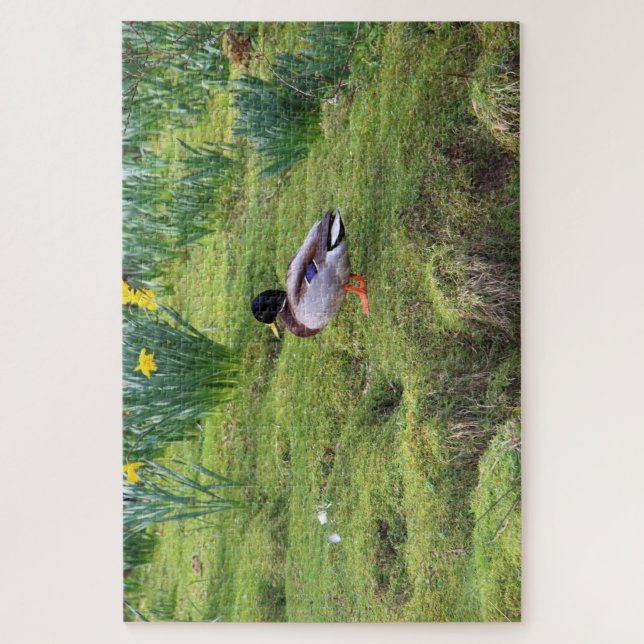 Puzzle Pato mallard a orillas de un río (Vertical)
