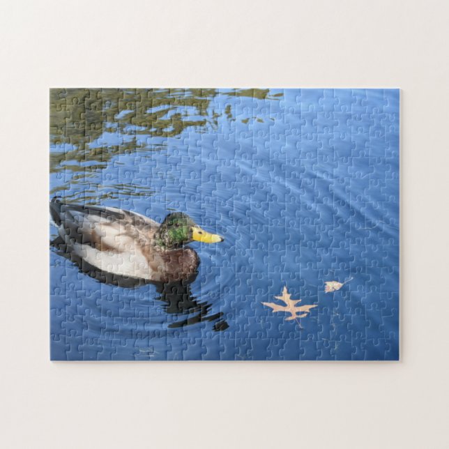 Puzzle Pato Mallard del Conservatorio de Agua de Central  (Horizontal)