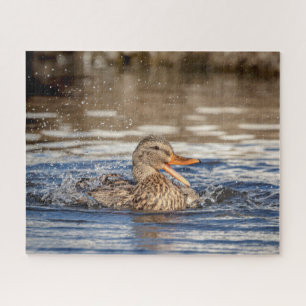Puzzle Pato Mallard en Downing Park