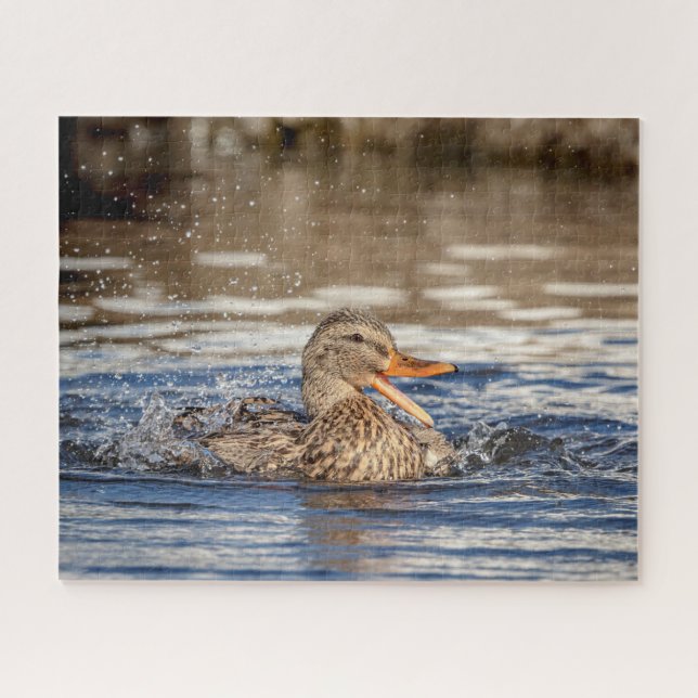 Puzzle Pato Mallard en Downing Park (Horizontal)