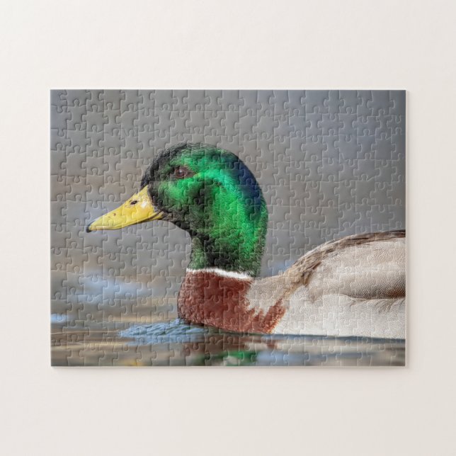 Puzzle Pato Mallard en el Valle de Hudson (Horizontal)
