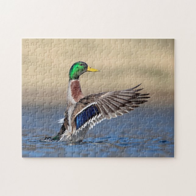 Puzzle Pato Mallard en el Valle de Hudson (Horizontal)