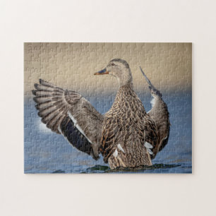 Puzzle Pato Mallard en el Valle de Hudson