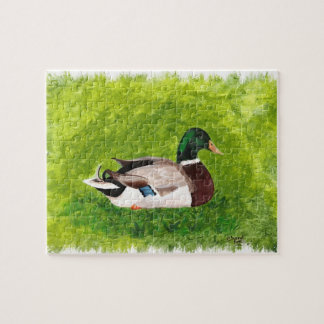Puzzle Pato mallard sentado en la pintura de hierba, romp