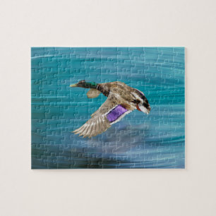 Puzzle Pato mallard volando