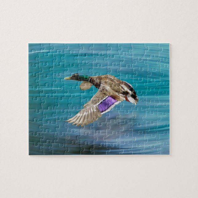 Puzzle Pato mallard volando (Horizontal)