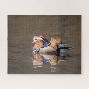 Puzzle Pato Mandarin