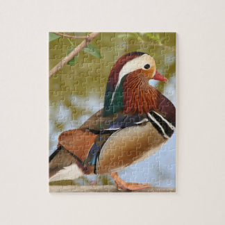Puzzle Pato Mandarin