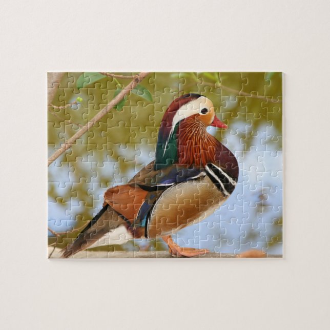 Puzzle Pato mandarín (Horizontal)