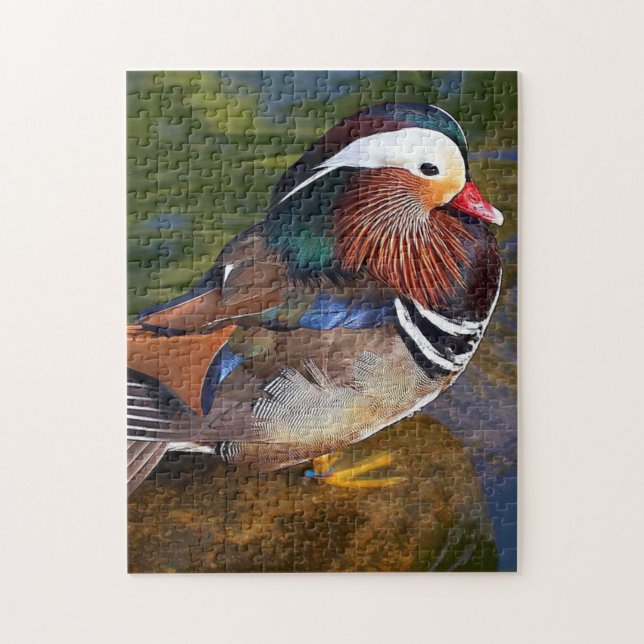 Puzzle Pato masculino (Vertical)
