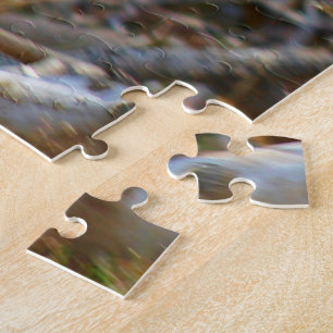 Puzzle Pato masculino del pato silvestre en vuelo