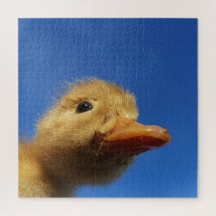 Puzzle pato, pollo, animal, pollo, pájaro, granja, lindo,