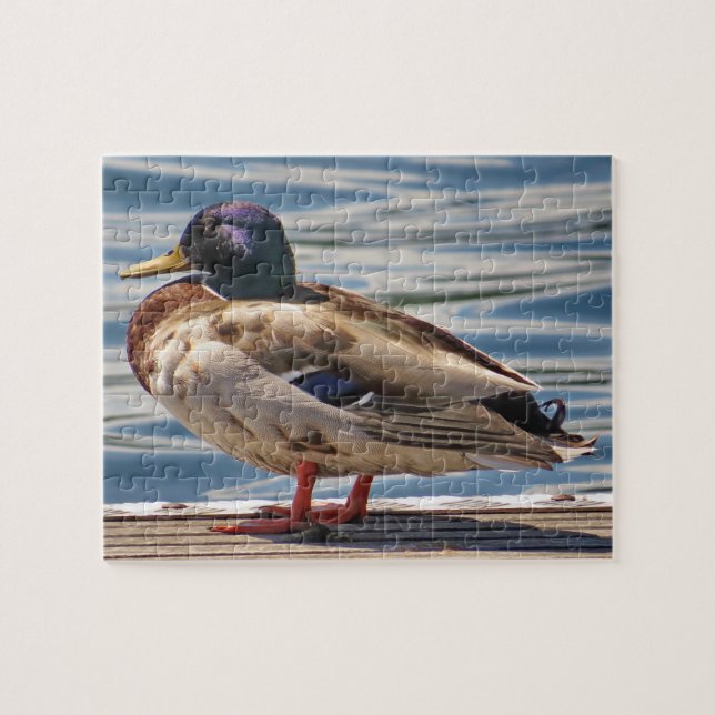 Puzzle Pato Por El Mar (Horizontal)