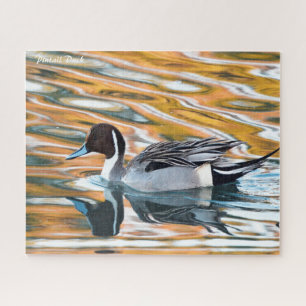 Puzzle Pato Rabudo