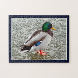 Puzzle Pato Silvestre Ánade Real en Lago Congelado