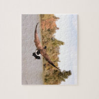 pato volando sobre agua fotografía