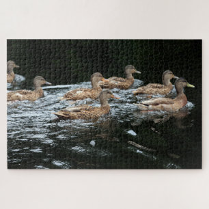 Puzzle Patos