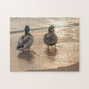 Puzzle Patos al atardecer